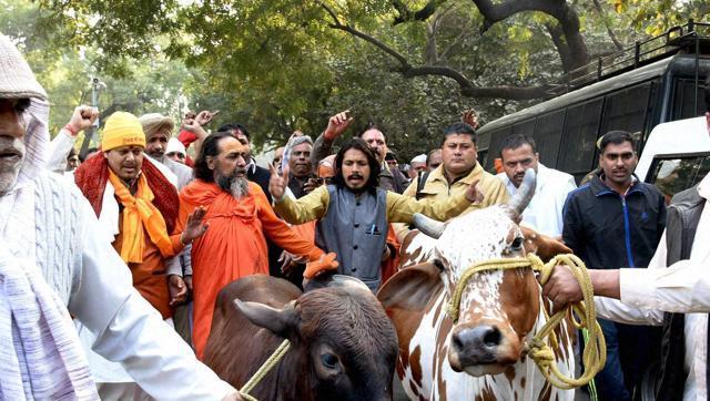 Gau_rakshak_cow_protection-PTI.jpg