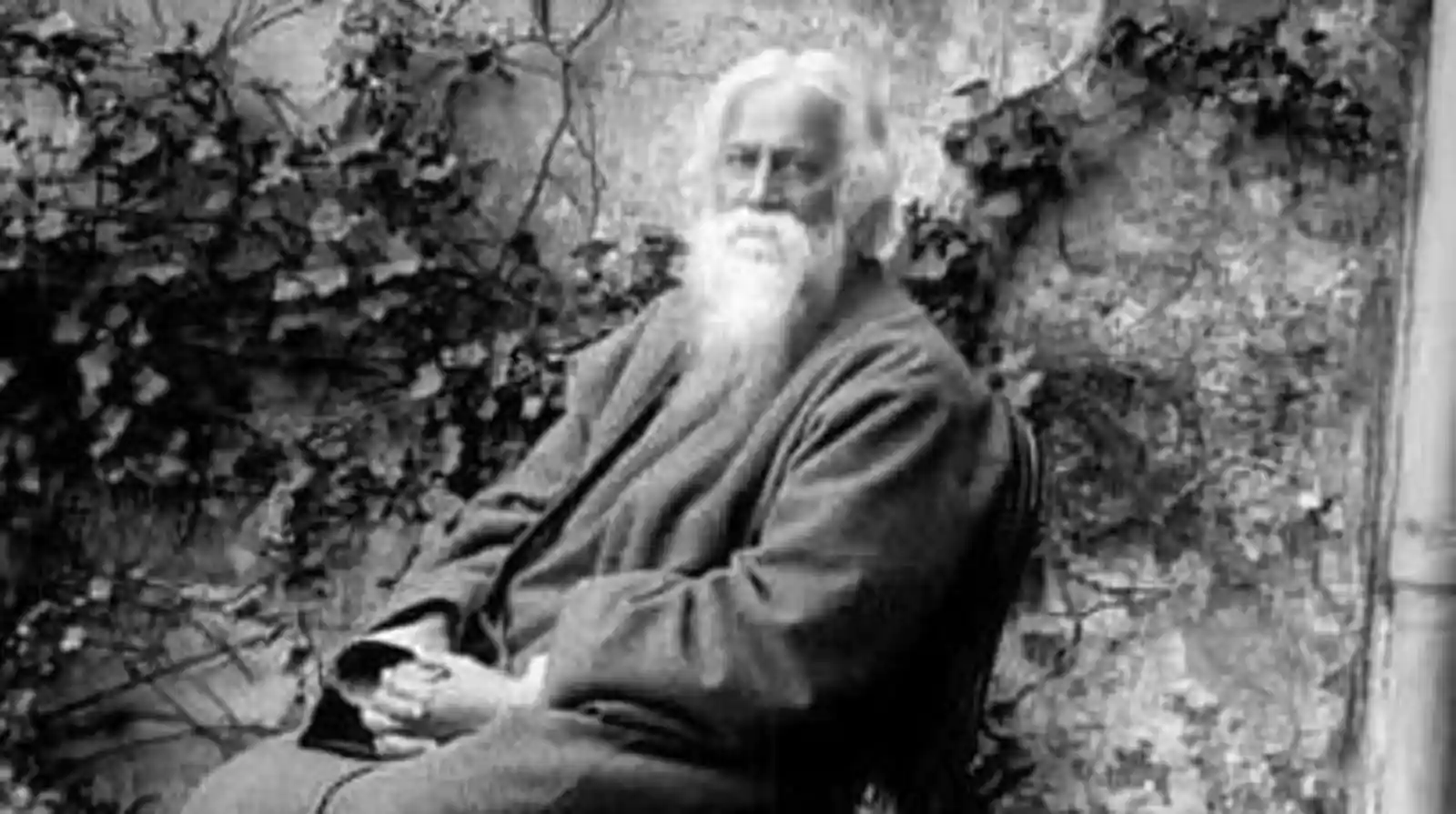 tagore-768x430.webp